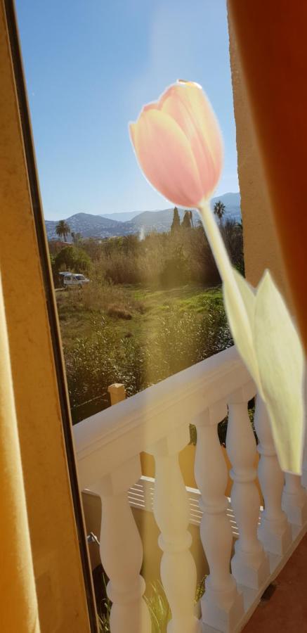 Apartamento Mar Y Sol, Dénia Exterior foto